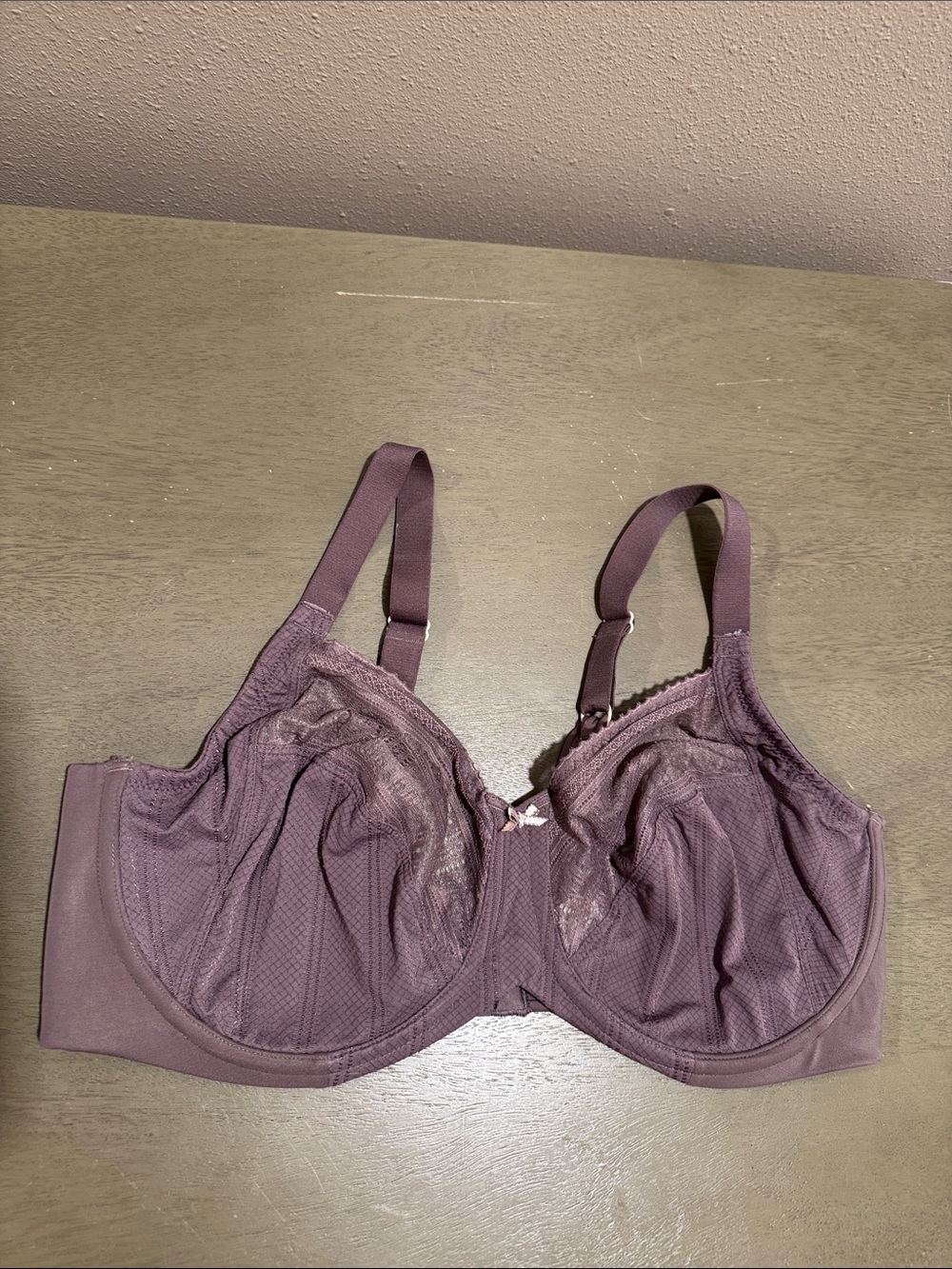 Lilyette Taupe Full-Coverage Lace-Accent Bra size 40D